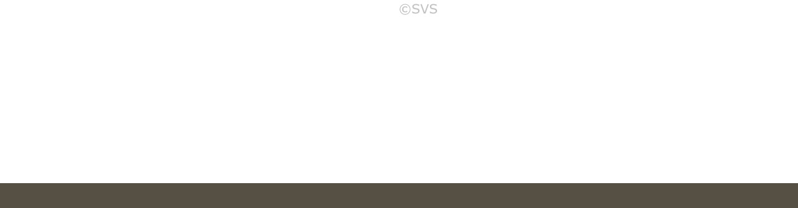 ©SVS